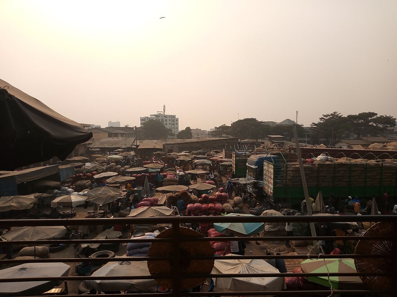 Benin Ranks 11 in Africa on Economic Freedom